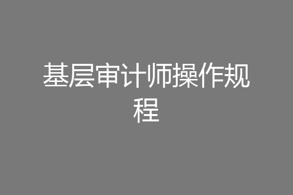基层审计师操作规程