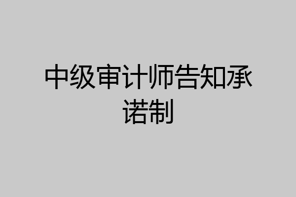中级审计师告知承诺制