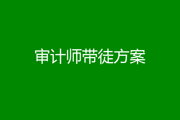 审计师带徒方案