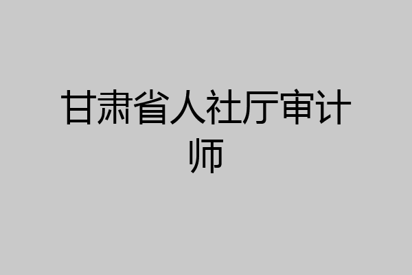 甘肃省人社厅审计师