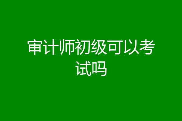 审计师初级可以考试吗