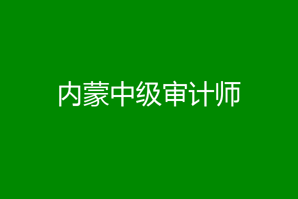 内蒙中级审计师