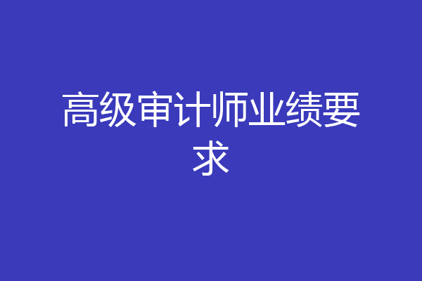 高级审计师业绩要求