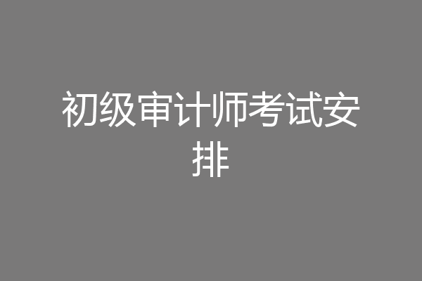 初级审计师考试安排