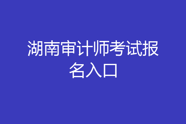 湖南审计师考试报名入口