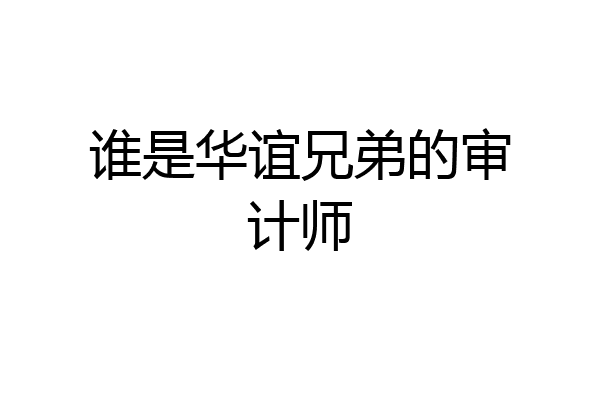 谁是华谊兄弟的审计师