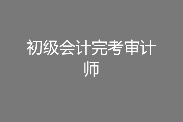 初级会计完考审计师