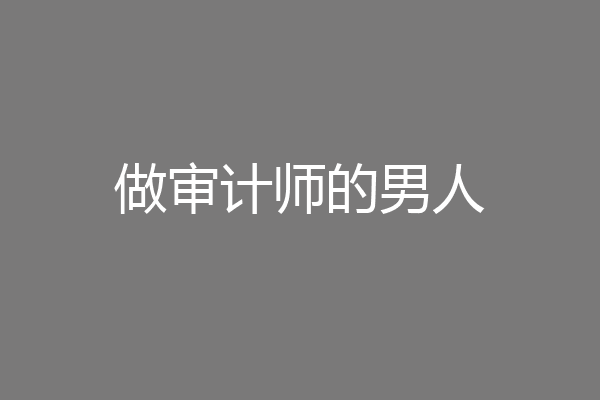 做审计师的男人