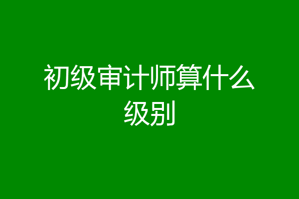 初级审计师算什么级别