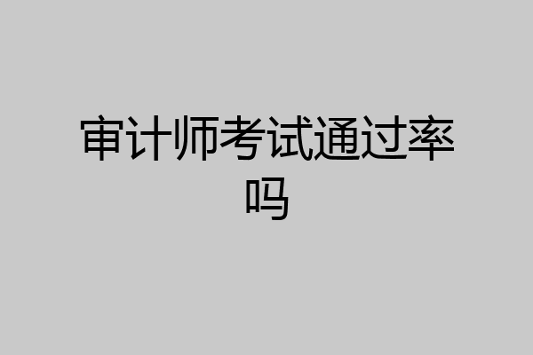 审计师考试通过率吗