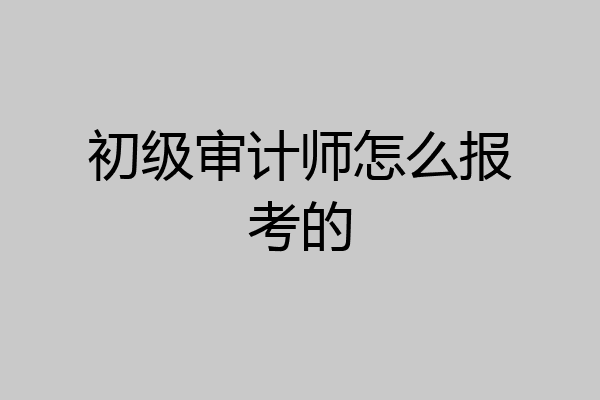 初级审计师怎么报考的