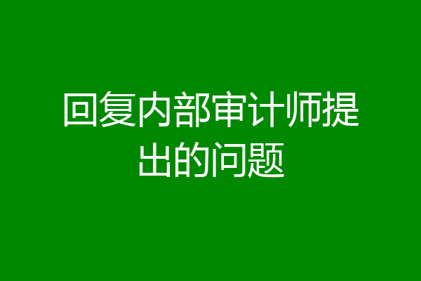 回复内部审计师提出的问题