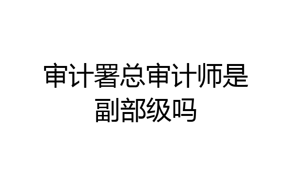 审计署总审计师是副部级吗