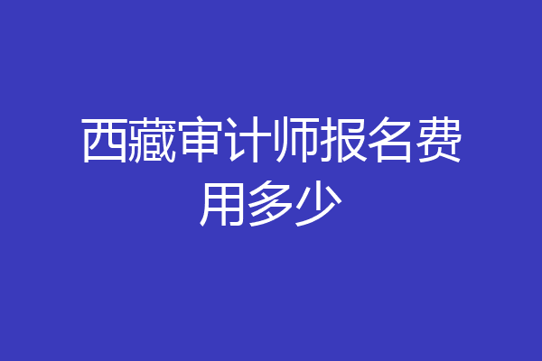 西藏审计师报名费用多少