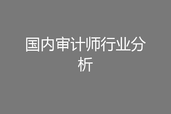 国内审计师行业分析