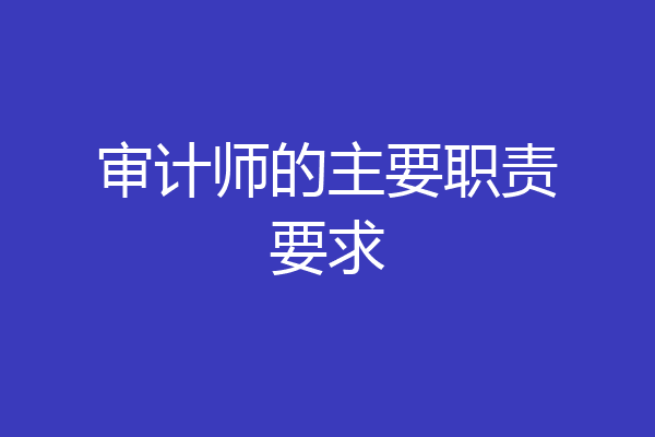 审计师的主要职责要求