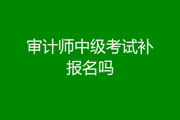 审计师中级考试补报名吗