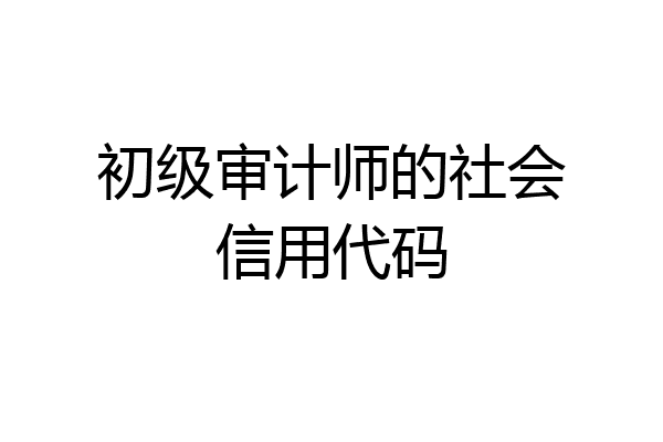 初级审计师的社会信用代码