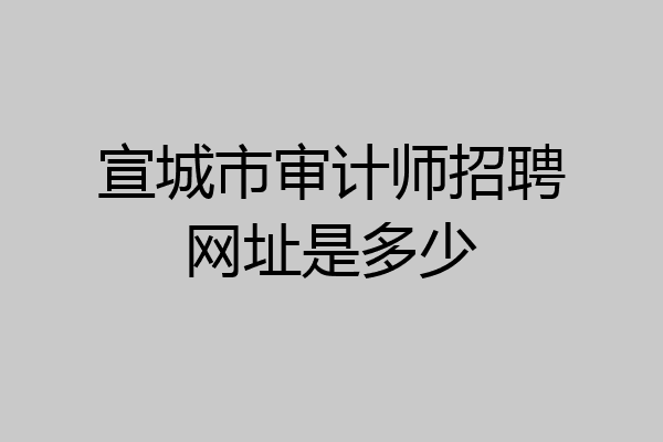 宣城市审计师招聘网址是多少
