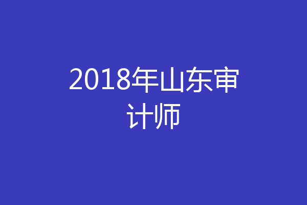 2018年山东审计师