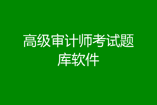 高级审计师考试题库软件