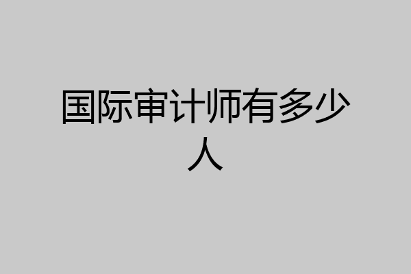 国际审计师有多少人