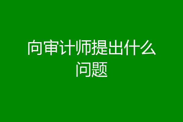 向审计师提出什么问题
