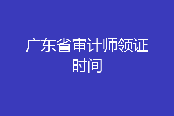 广东省审计师领证时间