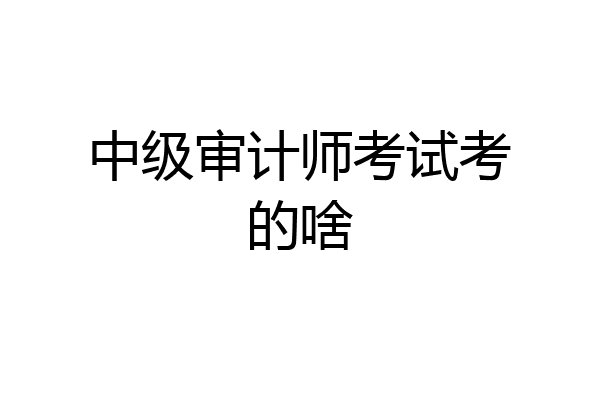 中级审计师考试考的啥