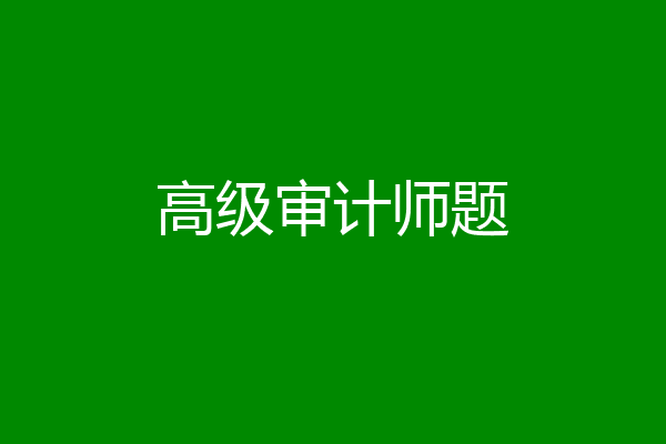 高级审计师题