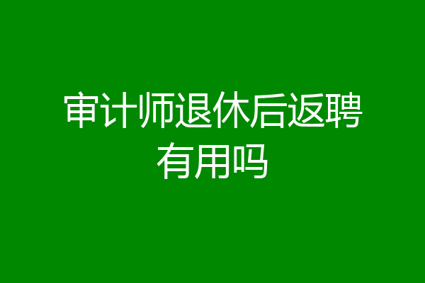 审计师退休后返聘有用吗
