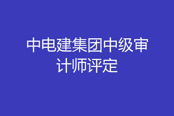 中电建集团中级审计师评定