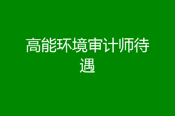 高能环境审计师待遇