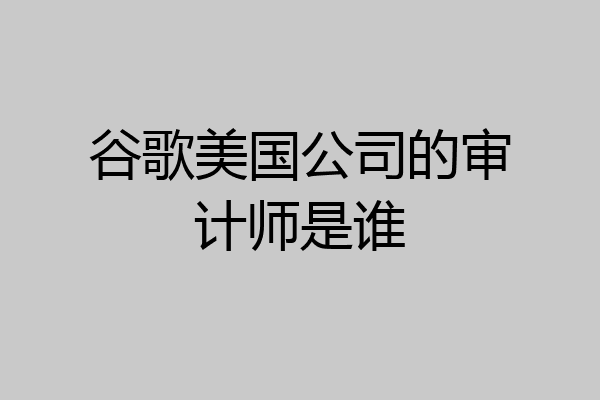 谷歌美国公司的审计师是谁