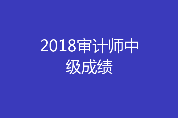 2018审计师中级成绩