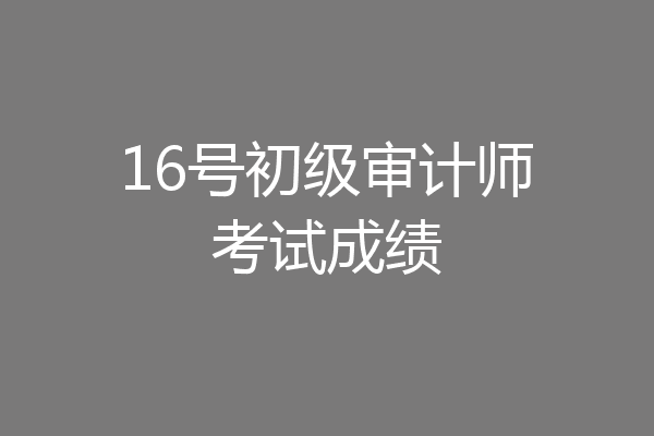16号初级审计师考试成绩