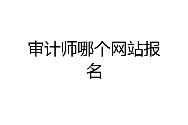审计师哪个网站报名