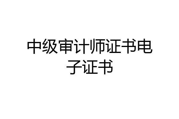 中级审计师证书电子证书