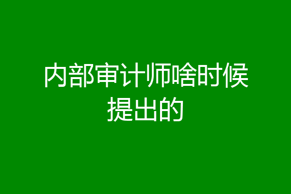 内部审计师啥时候提出的