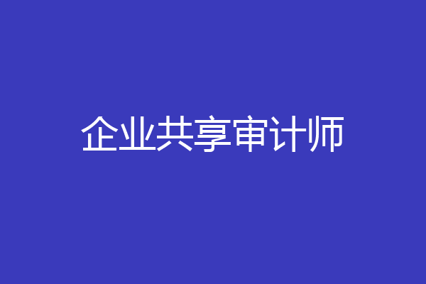 企业共享审计师
