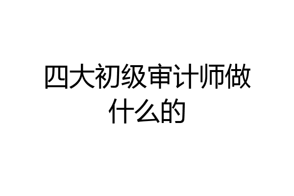 四大初级审计师做什么的