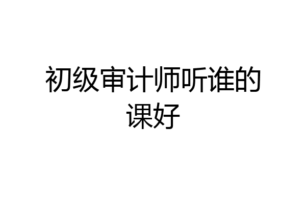 初级审计师听谁的课好