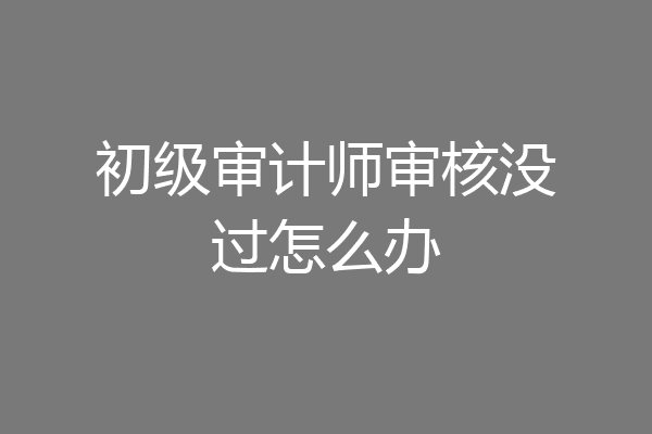 初级审计师审核没过怎么办