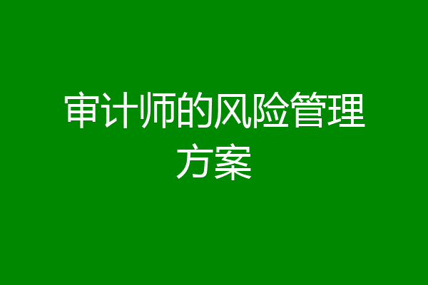 审计师的风险管理方案