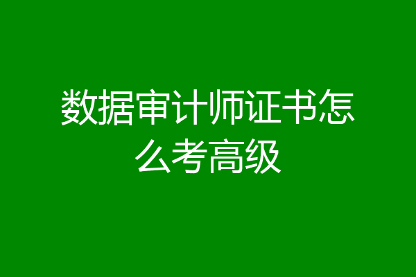 数据审计师证书怎么考高级