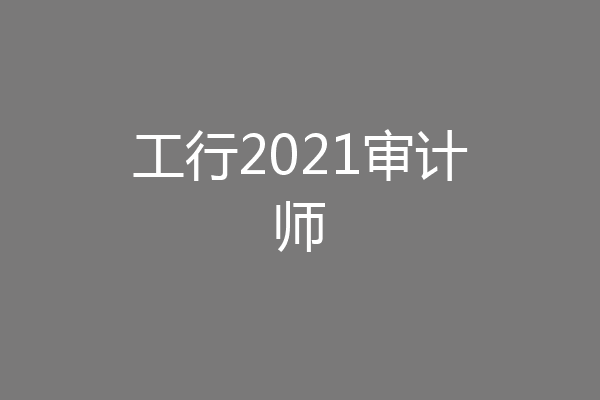 工行2021审计师
