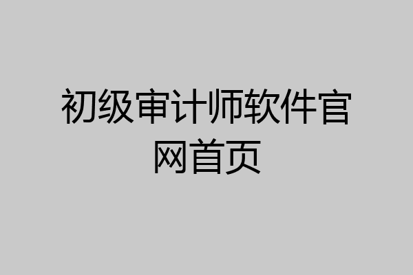 初级审计师软件官网首页