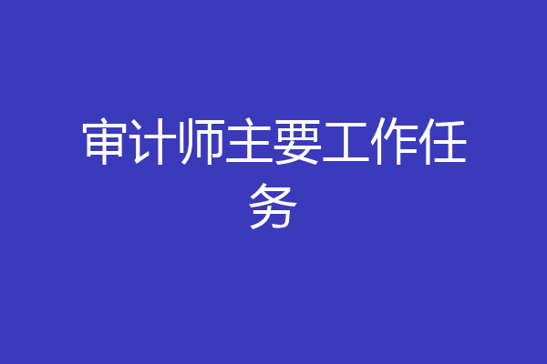 审计师主要工作任务