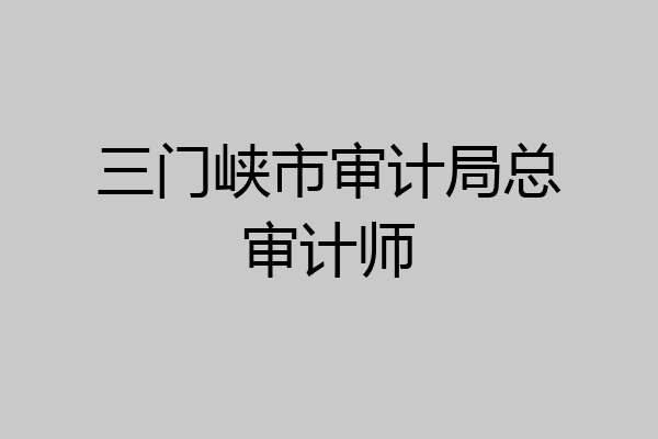 三门峡市审计局总审计师