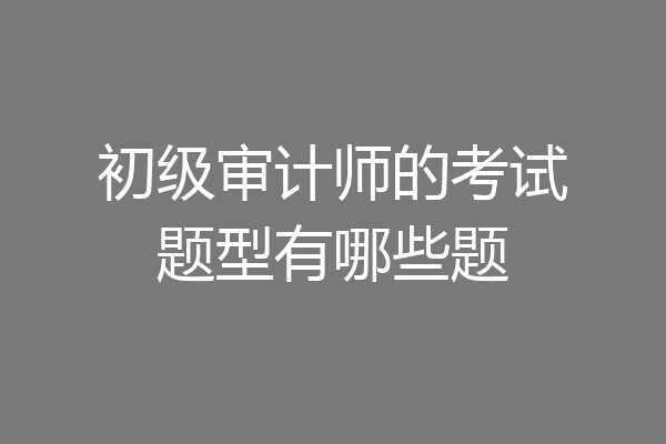 初级审计师的考试题型有哪些题